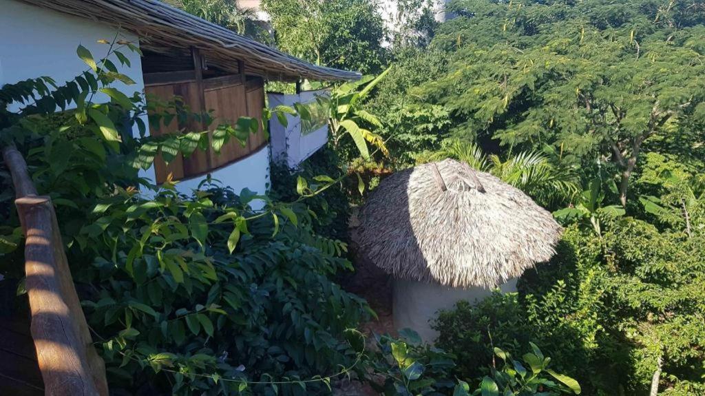 Bamboojam Villa Las Terrenas Eksteriør bilde