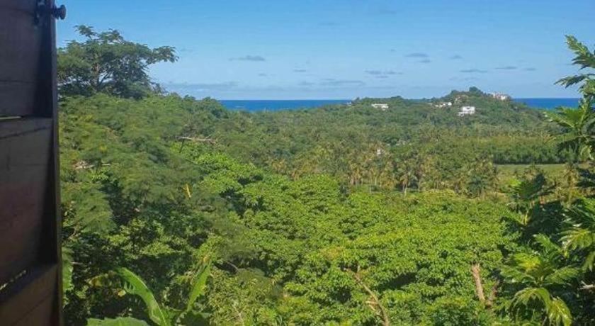 Bamboojam Villa Las Terrenas Eksteriør bilde