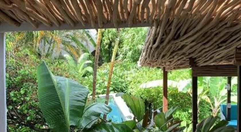 Bamboojam Villa Las Terrenas Eksteriør bilde
